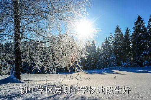 初中学区房哪个学校地段生好