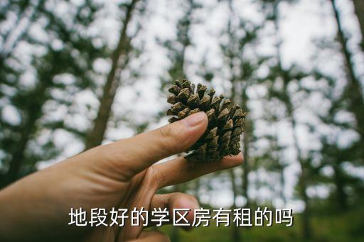 地段好的学区房有租的吗