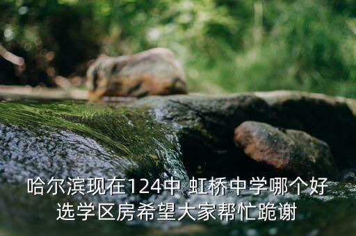 哈尔滨现在124中 虹桥中学哪个好选学区房希望大家帮忙跪谢