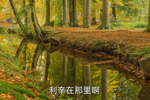 凤台皖州天悦属哪个学区房，利辛在那里啊