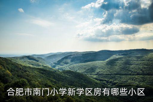 合肥市南门小学新学区房有哪些小区