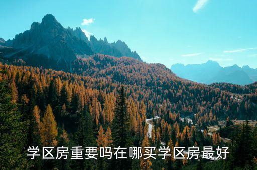 学区房重要吗在哪买学区房最好