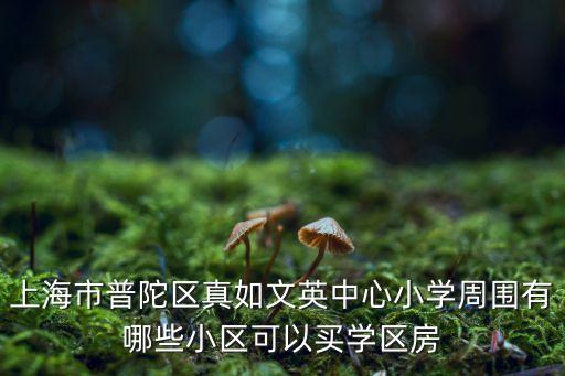 广德香悦荣府是哪个学区房，上海市普陀区真如文英中心小学周围有哪些小区可以买学区房