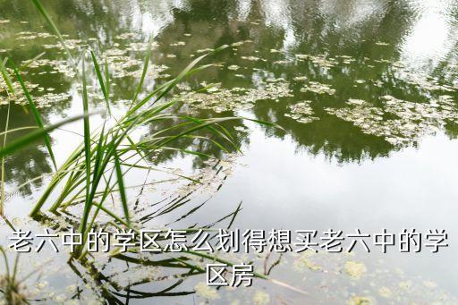 老六中的学区怎么划得想买老六中的学区房