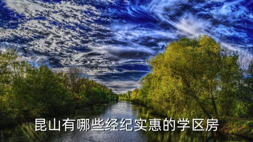 昆山有哪些经纪实惠的学区房