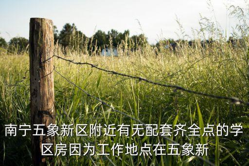 南宁五象新区附近有无配套齐全点的学区房因为工作地点在五象新