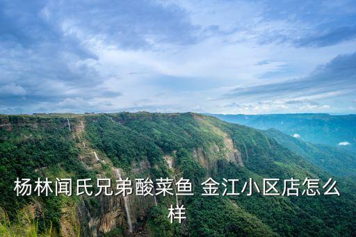 杨林闻氏兄弟酸菜鱼 金江小区店怎么样