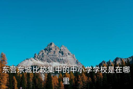 东营东城比较集中的中小学学校是在哪里