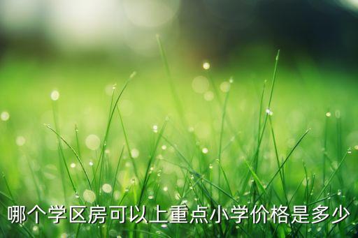 哪个学区房可以上重点小学价格是多少