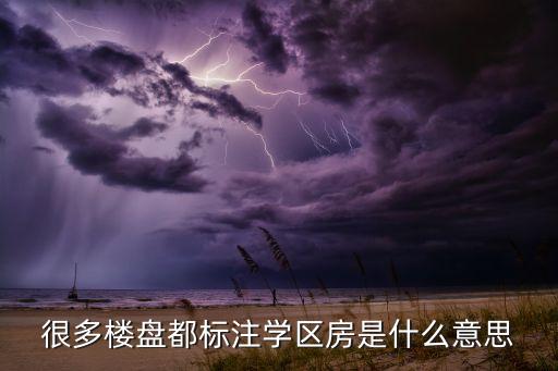 很多楼盘都标注学区房是什么意思