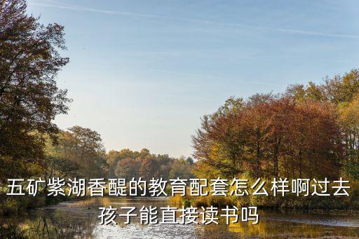五矿紫湖香醍的教育配套怎么样啊过去孩子能直接读书吗