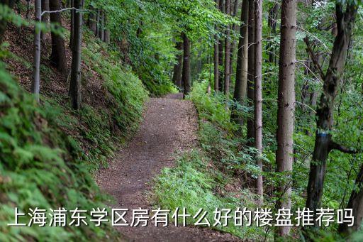 上海浦东学区房有什么好的楼盘推荐吗