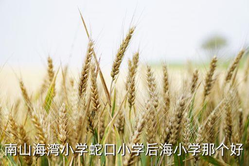 南山海湾小学蛇口小学后海小学那个好