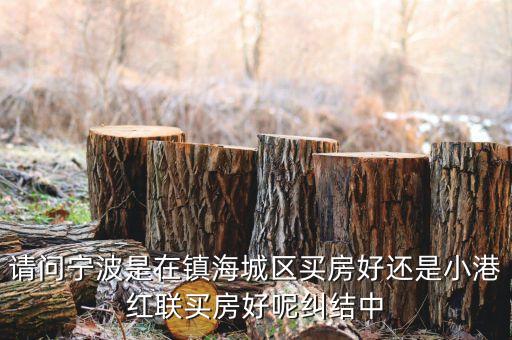 请问宁波是在镇海城区买房好还是小港红联买房好呢纠结中