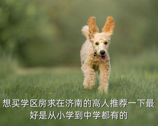 想买学区房求在济南的高人推荐一下最好是从小学到中学都有的