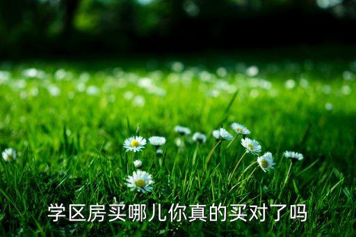 北培哪个地方学区房好些，请教学区房的话买在哪比较好