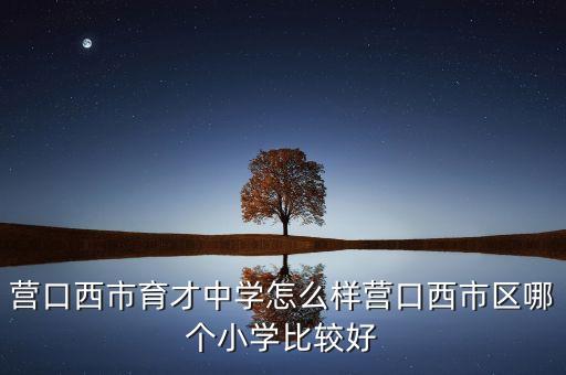 营口西市育才中学怎么样营口西市区哪个小学比较好