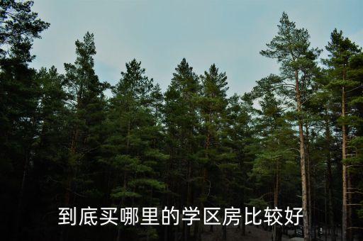 到底买哪里的学区房比较好