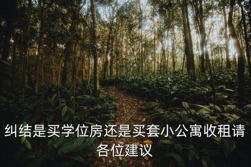 纠结是买学位房还是买套小公寓收租请各位建议