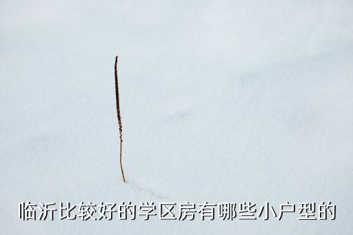 临沂比较好的学区房有哪些小户型的