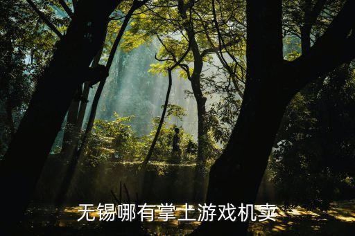 无锡哪有掌上游戏机卖
