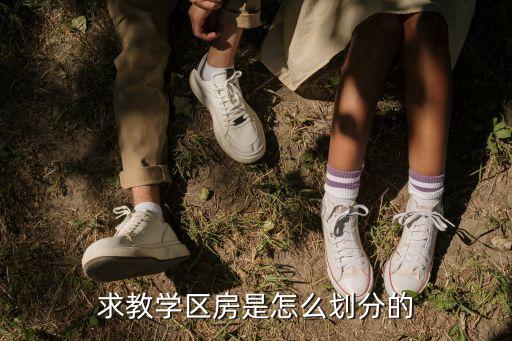 求教学区房是怎么划分的