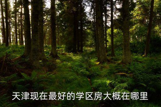 天津现在最好的学区房大概在哪里