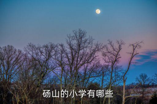 砀山碧桂园学区房是哪个学校，砀山碧桂园一区好还是二区