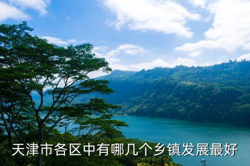 天津市各区中有哪几个乡镇发展最好