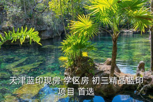 天津蓝印现房 学区房 初三精品蓝印项目 首选