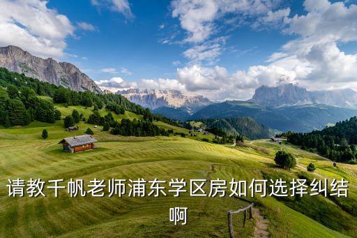 请教千帆老师浦东学区房如何选择纠结啊