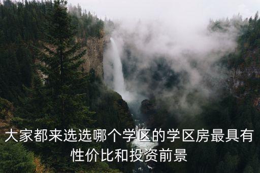 大家都来选选哪个学区的学区房最具有性价比和投资前景