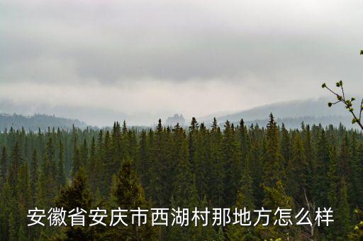 安徽省安庆市西湖村那地方怎么样