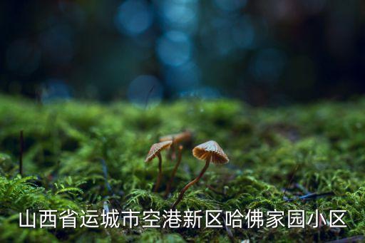 运城北区哪个学区房好，山西省运城市空港新区哈佛家园小区