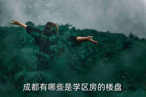 成都有哪些是学区房的楼盘