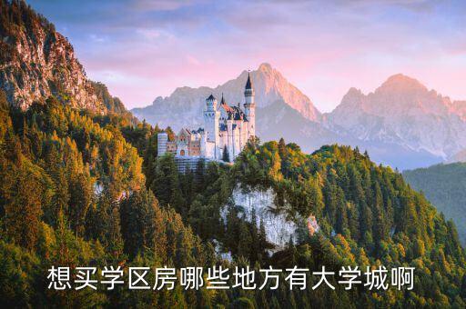 想买学区房哪些地方有大学城啊