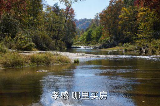孝感 哪里买房