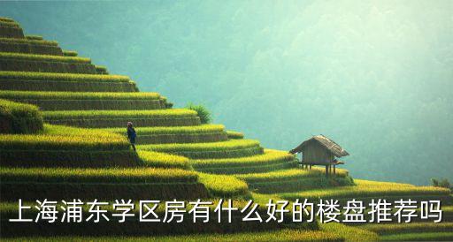 上海浦东学区房有什么好的楼盘推荐吗