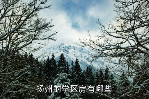 扬中学区房有哪些，扬州学区房划分