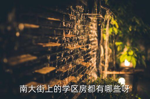 南大街上的学区房都有哪些呀