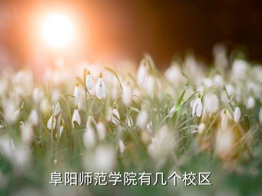 阜阳师范学院有几个校区