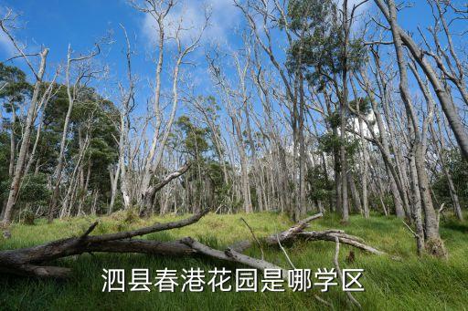 泗县2小有哪些学区房，泗县春港花园是哪学区