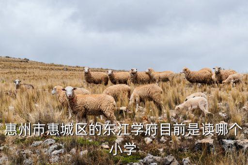 惠州市惠城区的东江学府目前是读哪个小学