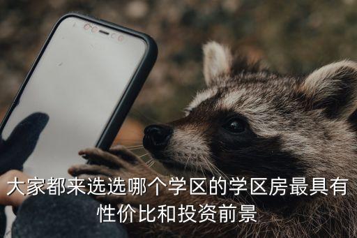 大家都来选选哪个学区的学区房最具有性价比和投资前景