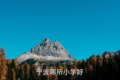 宁波哪所小学好