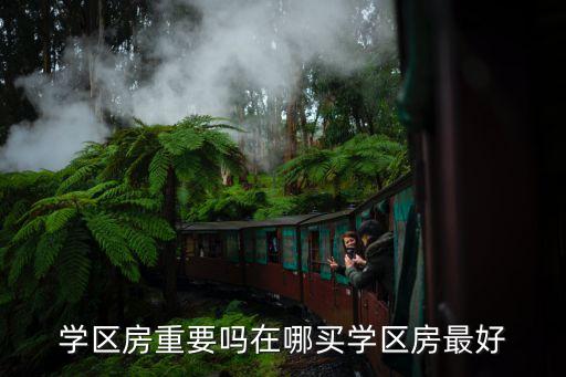 学区房重要吗在哪买学区房最好