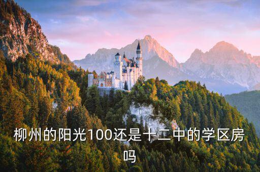 柳州的阳光100还是十二中的学区房吗