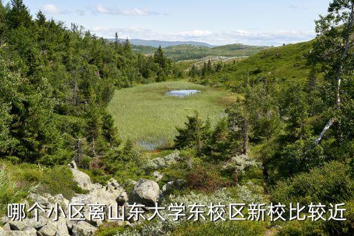 哪个小区离山东大学东校区新校比较近