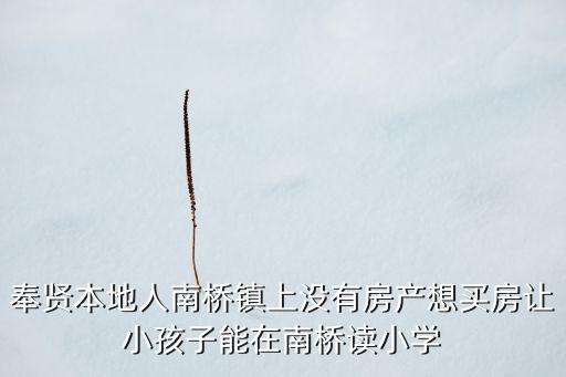 奉贤本地人南桥镇上没有房产想买房让小孩子能在南桥读小学