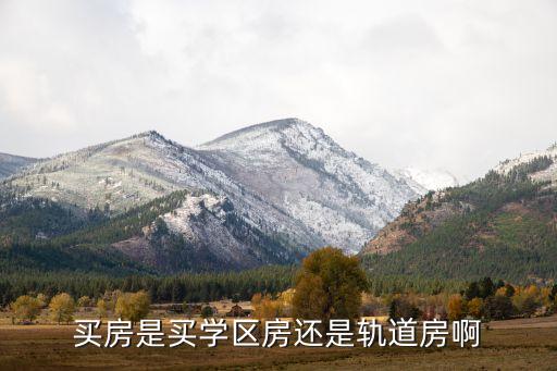 买房是买学区房还是轨道房啊